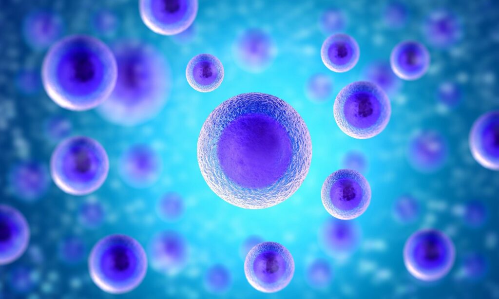 Stem Cell Treatment